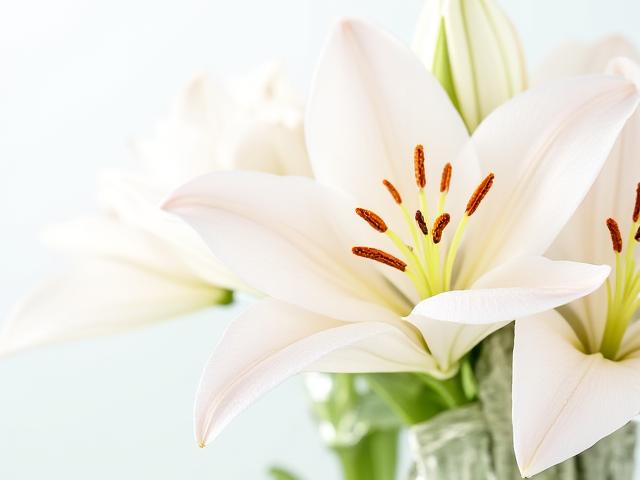 सफेद और गुलाबी लिली का गुलदस्ता - सुरुचिपूर्ण और सुगंधित फूल